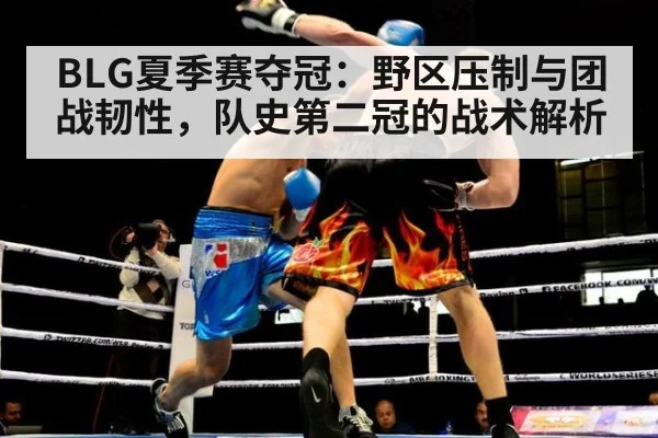 BLG夏季赛夺冠:野区压制与团战韧性,队史第二冠的战术解析 - jiuyouhui