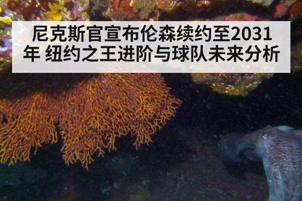 尼克斯官宣布伦森续约至2031年 纽约之王进阶与球队未来分析